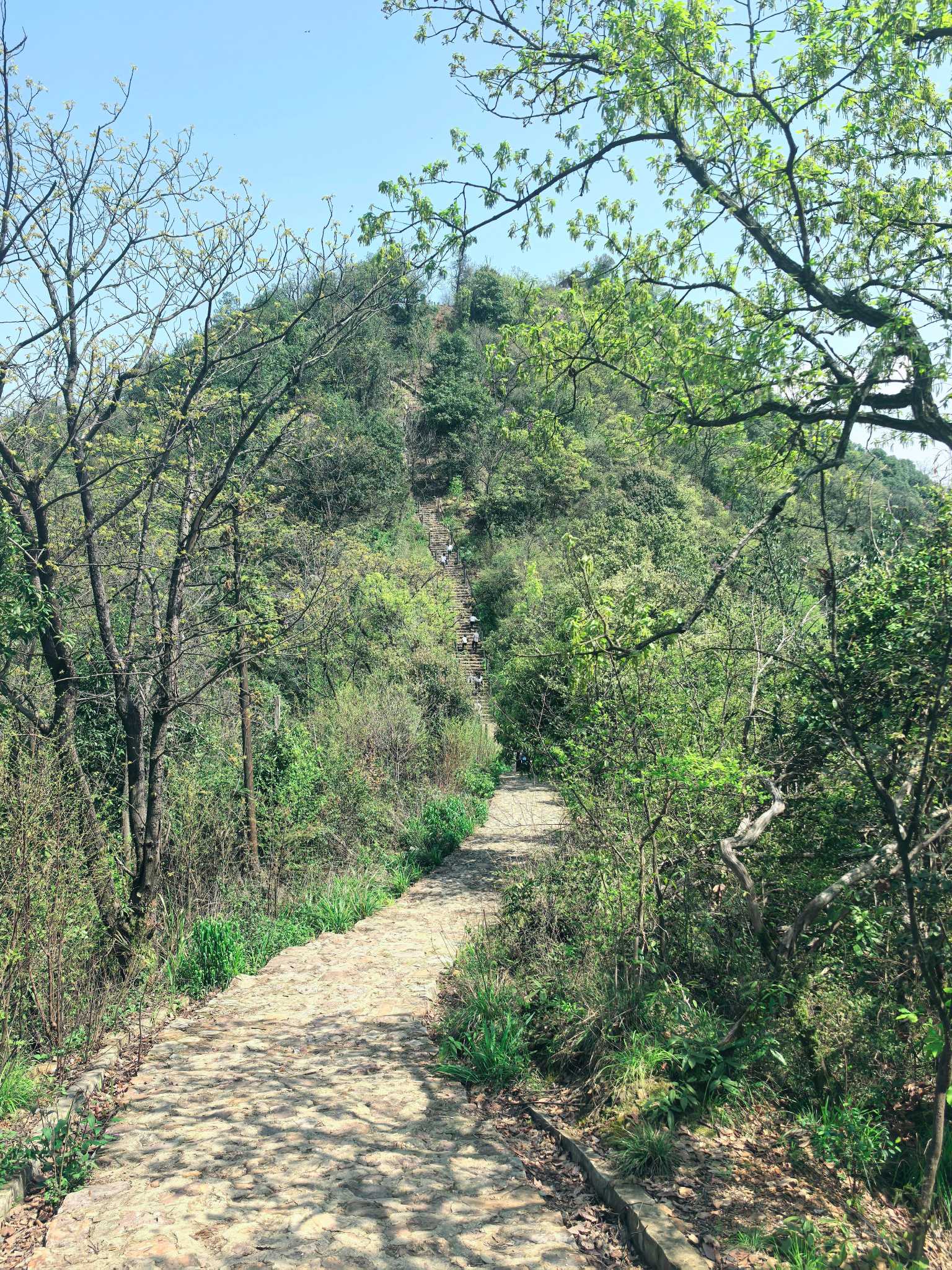 前方560级台阶休息点