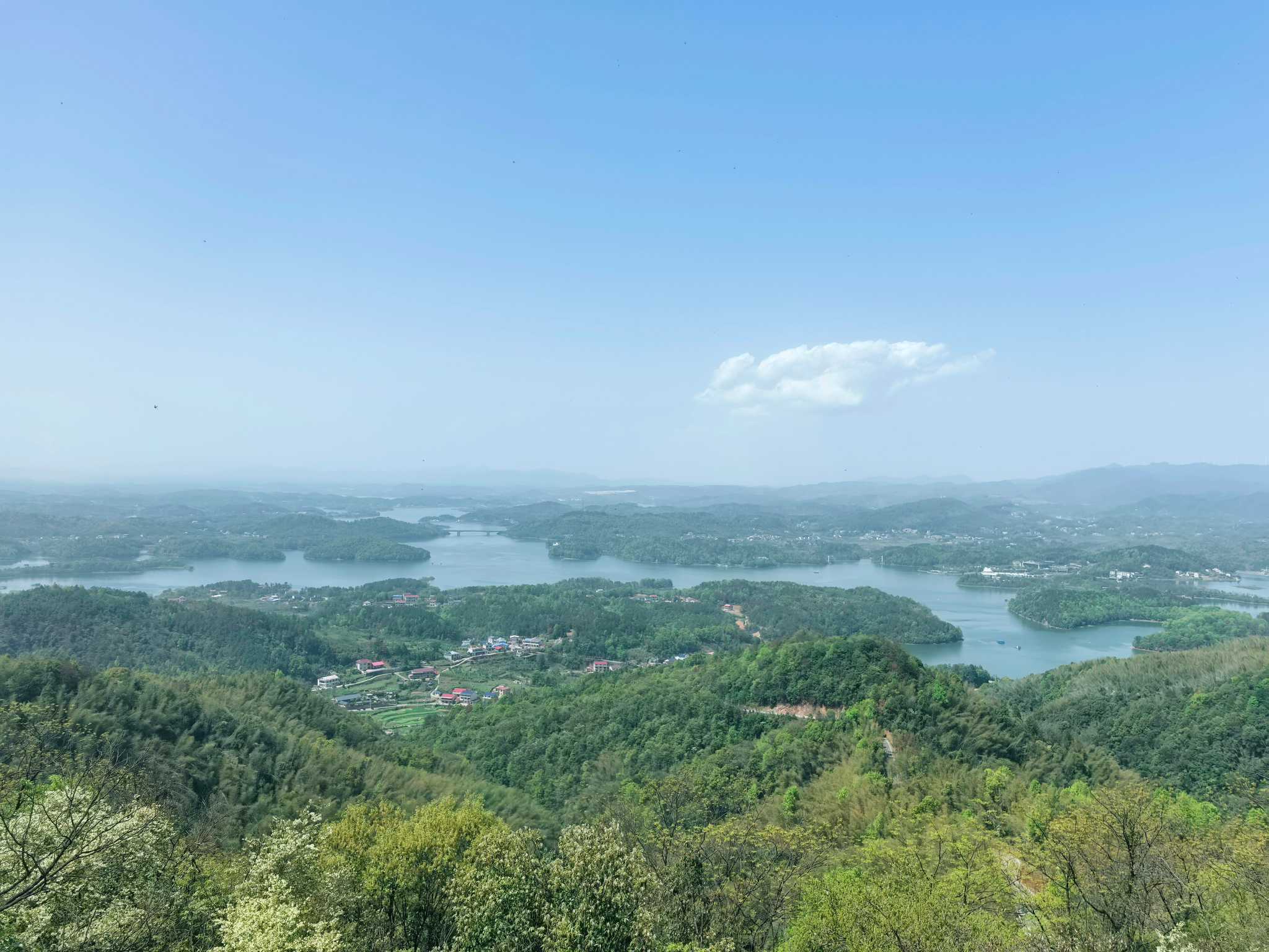 山顶全貌 山顶全貌